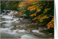 Autumn River...