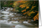 Autumn River Cascades (I) - Blank Note Card