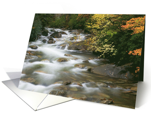 Autumn River Cascades (II) - Blank Note card (595081)