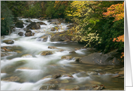 Autumn River Cascades (II) - Blank Note Card