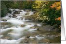 Autumn River Cascades (II) - Blank Note Card