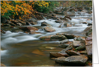 Autumn River Cascades (III) - Blank Note Card