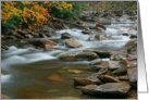 Autumn River Cascades (III) - Blank Note Card