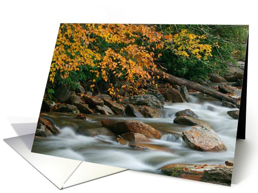 Autumn River Cascades (IV) - Blank Note card (595095)