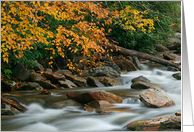 Autumn River Cascades (IV) - Blank Note Card