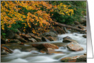 Autumn River Cascades (IV) - Blank Note Card