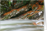 Autumn River Cascades (V) - Blank Note Card