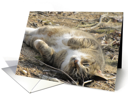 Heard You Were Feeling Stressed... card (587693)