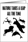 Nature Takes A Leap All The Time Happy Leap Year Day card