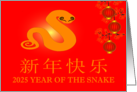 2025 Year Of The Snake (Happy Chinese New Year Chinese Text) card