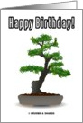 Happy Birthday! (Bonsai Tree Plant) card