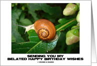 Sending You My Belated Happy Birthday Wishes (Snail On A Leaf) card
