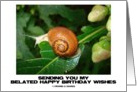 Sending You My Belated Happy Birthday Wishes (Snail On A Leaf) card