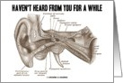 Haven’t Heard From You For A While (Gray’s Anatomy Ear Canal) card