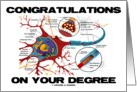Congratulations On Your Degree (Neuron / Synapse Biology Anatomy) card