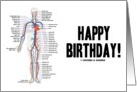 Happy Birthday! (Circulatory System Arteries Veins Human Anatomy) card