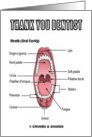 Thank You Dentist (Mouth Oral Cavity Anatomical) card