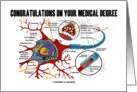 Congratulations On Your Medical Degree (Neuron / Synapse) card