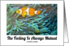The Feeling Is Always Mutual (Clownfish Sea Anemone) card