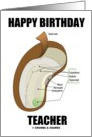 Happy Birthday Teacher (Bean Seed) card