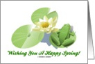 Wishing You A Happy Spring! Frog On Lily Pads card