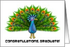 Congraulations, Graduate! Colorful Peacock card