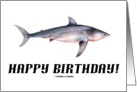 Happy Birthday! (Young Great White Shark illustration) card