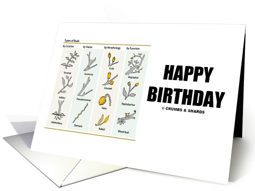 Happy Birthday! (Types Of Buds) card (836517)