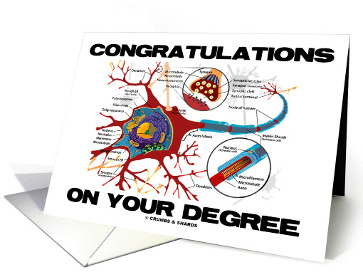 Congratulations On Your Degree (Neuron / Synapse Biology Anatomy) card