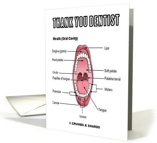 Thank You Dentist (Mouth Oral Cavity Anatomical) card (839702)