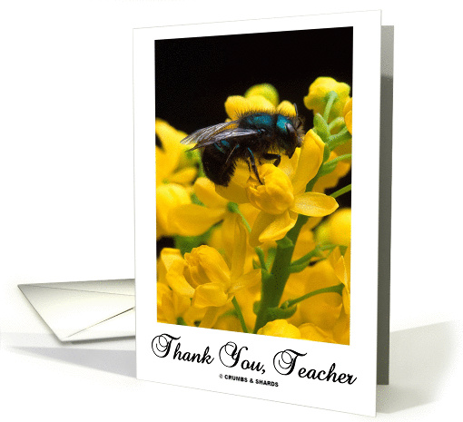 Thank You Teacher (Bee On A Barberry Flower) card (840406)