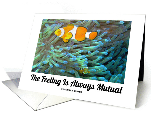 The Feeling Is Always Mutual (Clownfish Sea Anemone) card (845181)