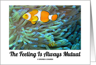 The Feeling Is Always Mutual (Clownfish Sea Anemone) card