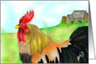 Rooster-farm card