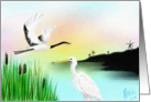 Water scene,cranes,nature card