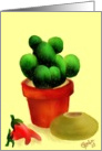Potted Cactus-Chilli Peppers card