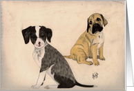 2-Dogs-black/white, black/tan card