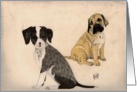 2-Dogs-black/white, black/tan card