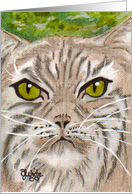 green eyed cat...