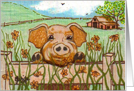 Pig, farm, flowers, barn, outside, nature, landscape, blank note cards