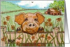 Pig, farm, flowers, barn, outside, nature, landscape, blank note cards