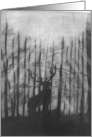 Deer in Wooded Moonlight, black & white, blank note cards