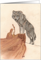 Wolf on Log, blank note card