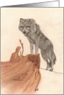 Wolf on Log, blank note card
