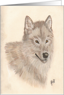 Wolf’s head Illustration, blank note cards