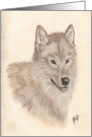 Wolf’s head Illustration, blank note cards