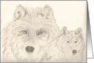 Dual Wolf Images, note card