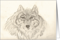 Large Wolf’s Head, note card