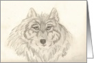 Large Wolf’s Head, note card