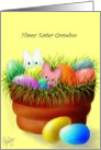 Easter,Grandma,Bunnies,Eggs,clay pot card
